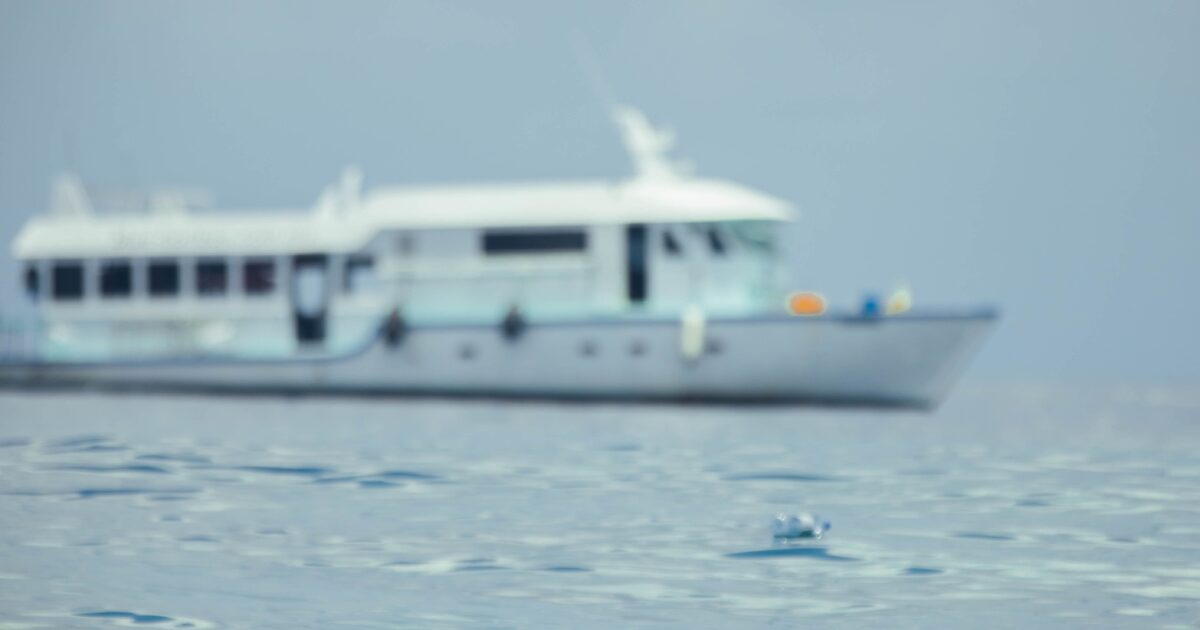 Submerged Objects & Underwater Hazards While Boating Mase Seitz Briggs